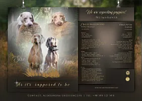 As it’s supposed to be - zdjęcie 4