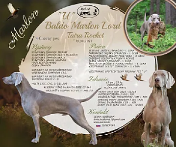 Baldo Marlon Lord Tatra Rocket - zdjęcie 8